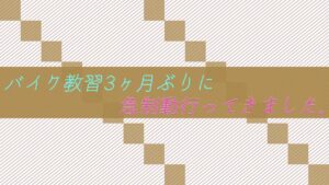 【恐怖】バイク教習3ヶ月ぶりに急制動行ってきました。。。