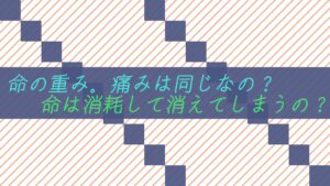 命の重み。痛みは同じなの？命は消耗して消えてしまうの？