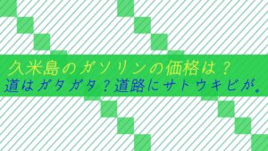 久米島のガソリンの価格は?道はガタガタ?道路にサトウキビが。。