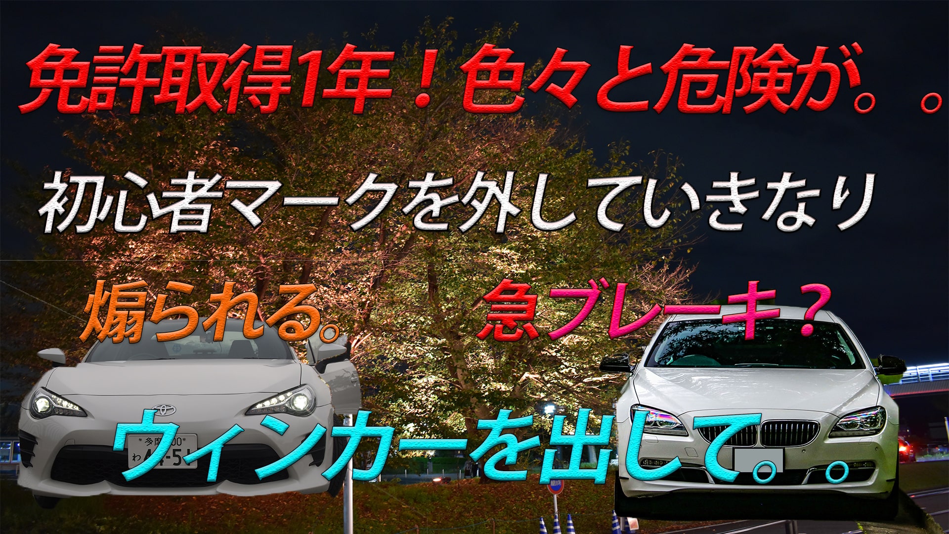 【自動車】普通免許取得から1年。色々旅行に行ったり!煽られたり