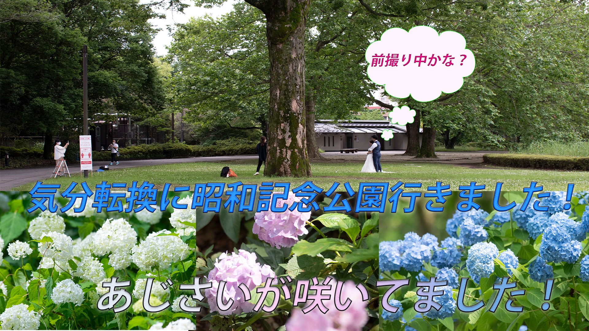 気分転換に昭和記念公園に行ってきました!気温が33度で暑い!!