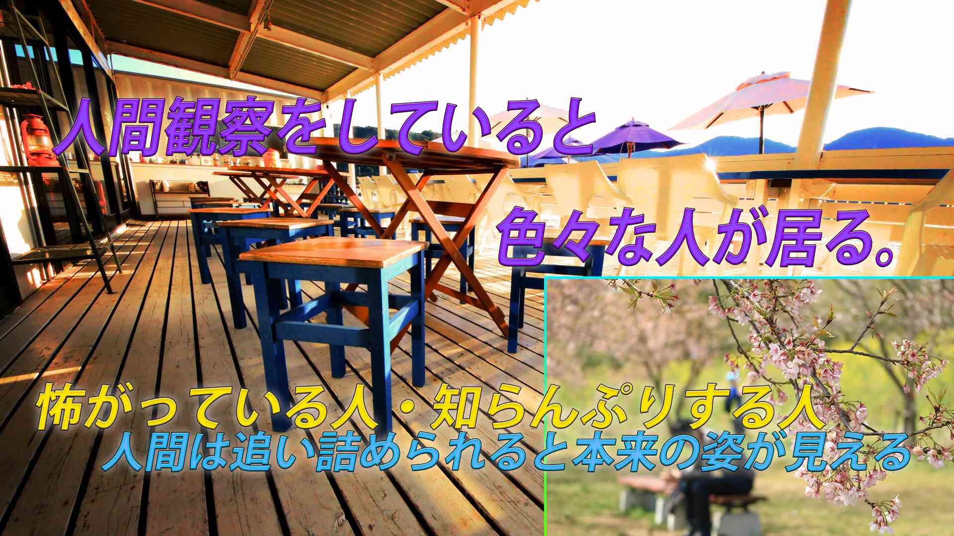 人間観察をしていると人の嫌な所ばっかり目に映ってしまう。