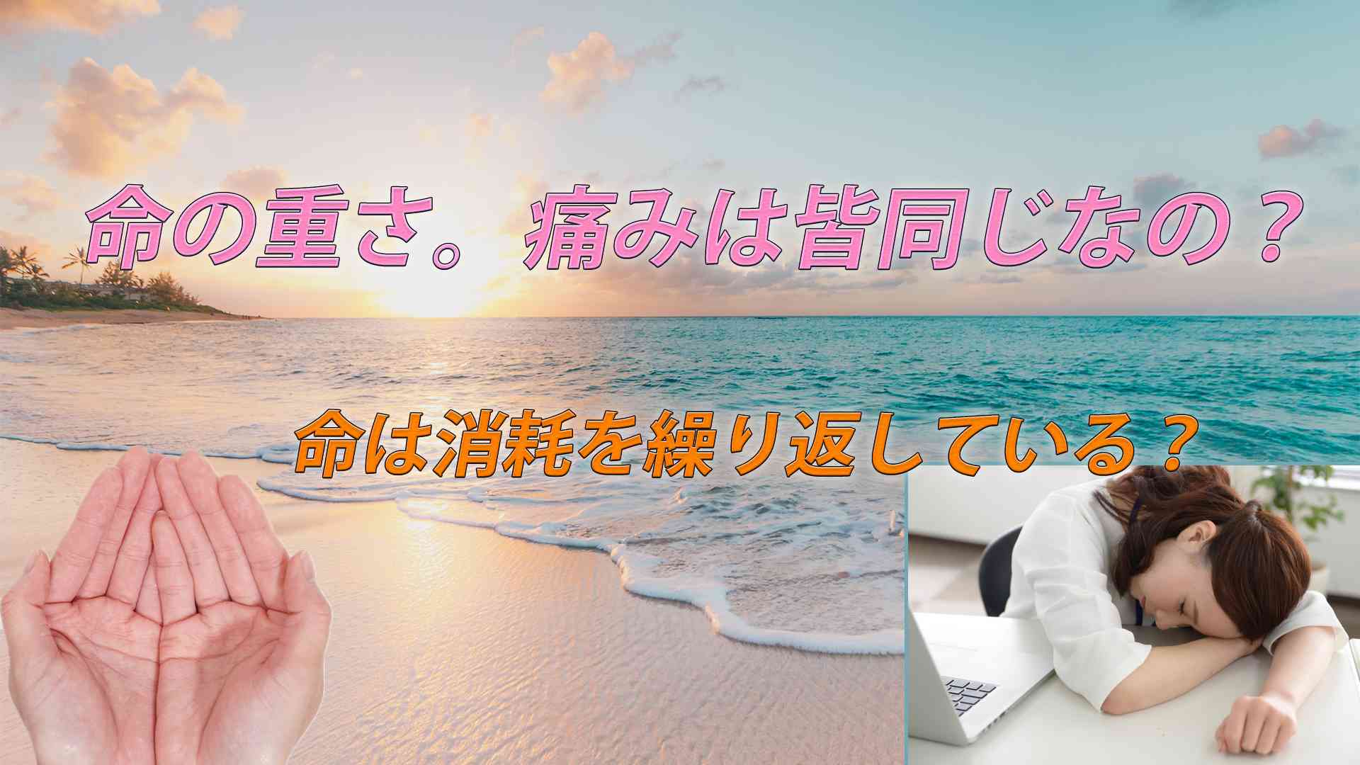 命の重み。痛みは同じなの?命は消耗して消えてしまうの?