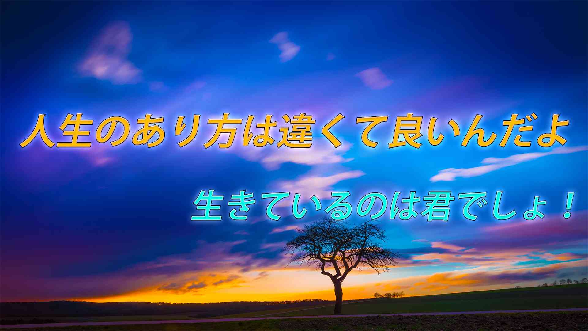 私、貴方の在り方は違くて良いんだよ。比べる事などしなくても。